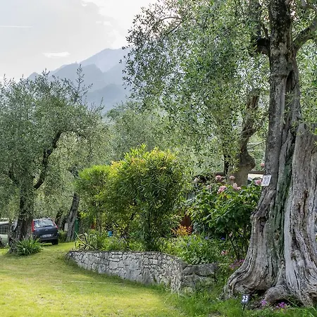 Κάμπινγκ Monja Village *