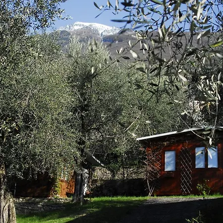 Campsite Monja Village