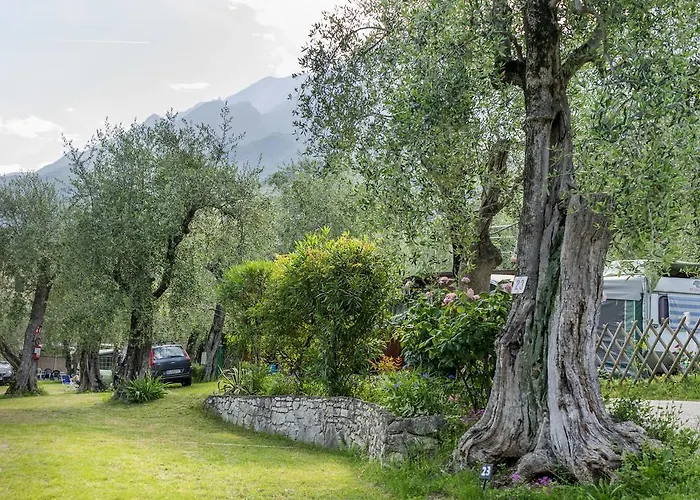 Kamp alanı Monja Village *