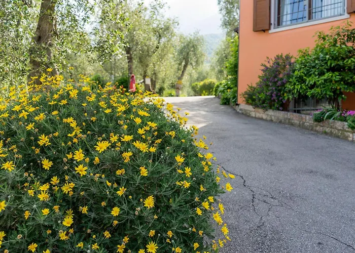 Kamp alanı Monja Village *