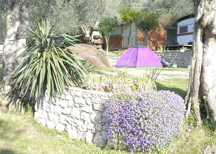 Monja Village Kamp alanı *