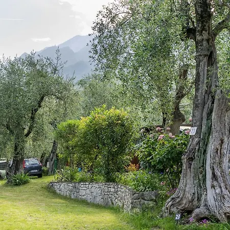 אתר קמפינג Monja Village *