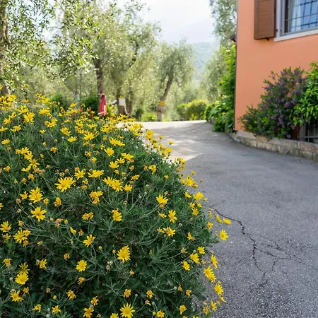 אתר קמפינג Monja Village *