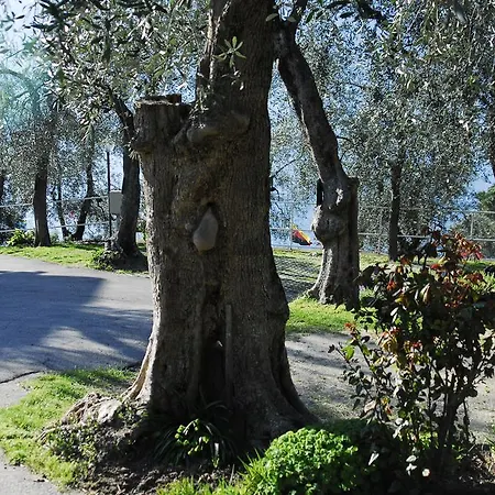 Monja Village ברנצונה סול גארדה