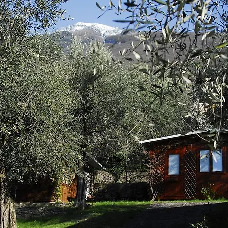 אתר קמפינג Monja Village